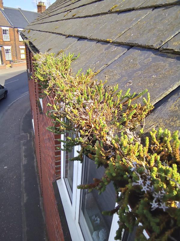 Roofing & guttering - clean out your gutters!