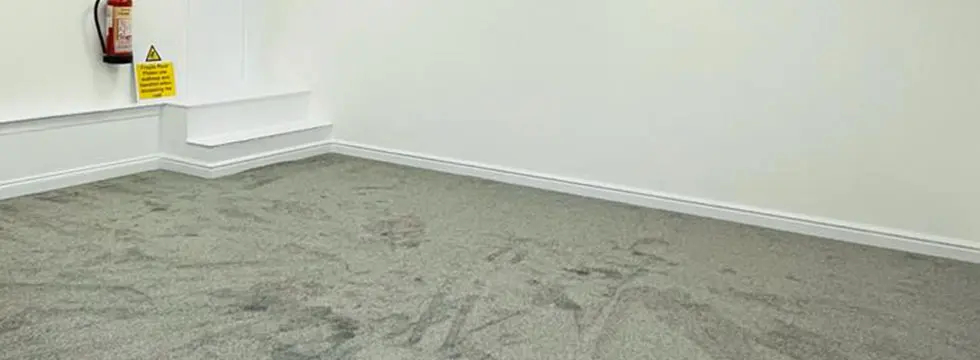 carpet cleaning contractors
